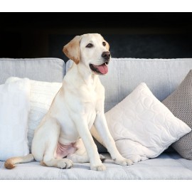 Lady Remington Designer Pillow 17"  Style #171  Exclusive Lab  